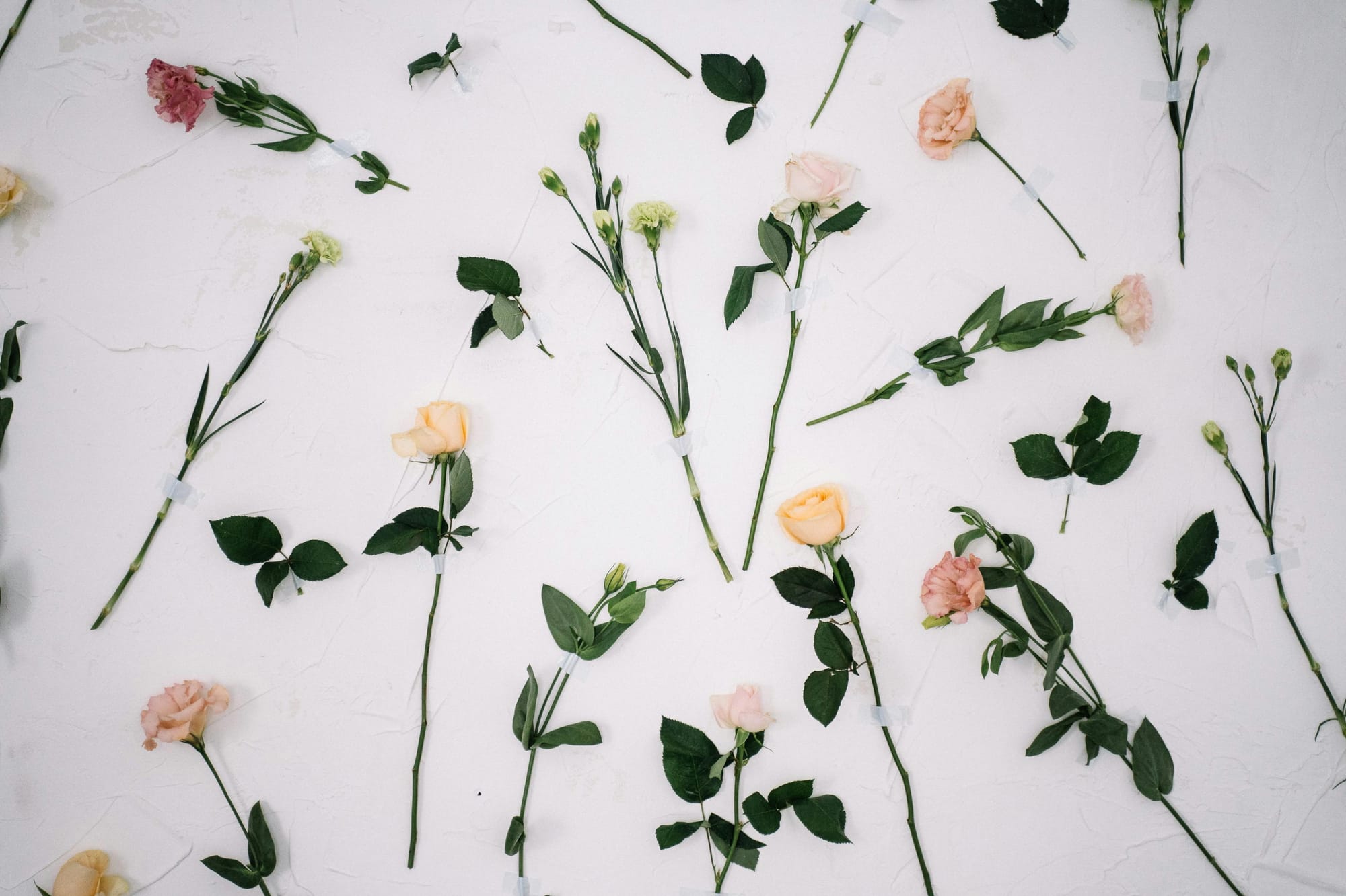 Spice and Roses